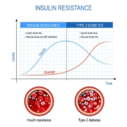 resistencia-insulinica-no-climaterio-alimentacao-e-treino-eficazes-para-destravar-seu-metabolismo Resistência insulínica no Climatério: Alimentação e Treino Eficazes para Destravar Seu Metabolismo